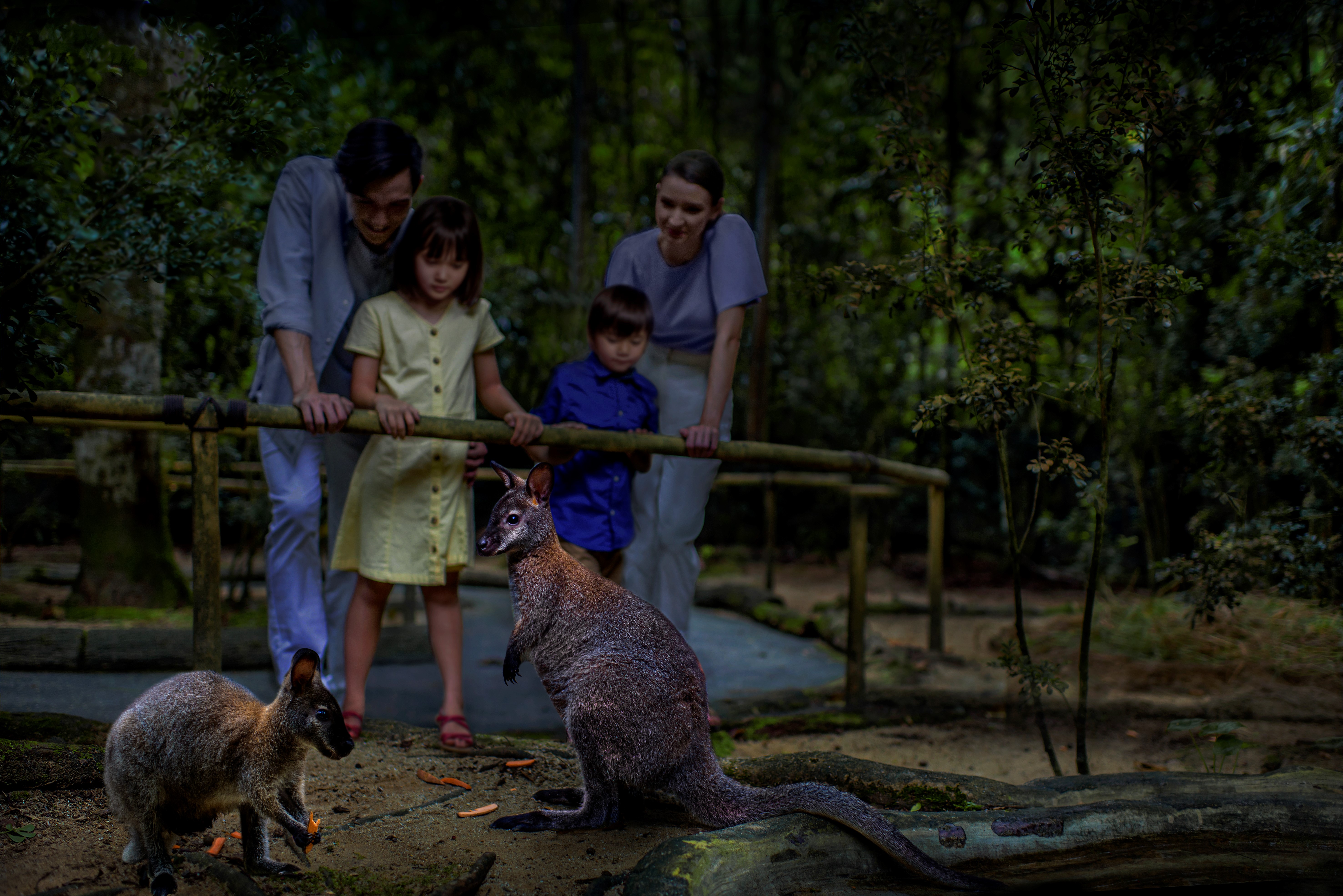 ナイトサファリの閉園時間は、深夜0時
